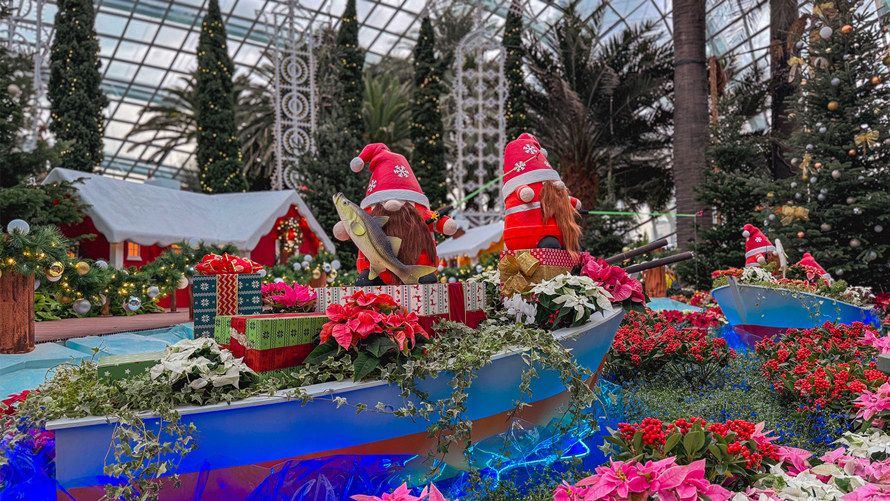Poinsettia Wishes – A Nordic Christmas Adventure