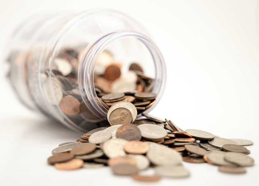 Investment Incentives and Government Support
