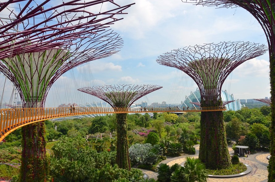 Garden and Wildlife in Singapore