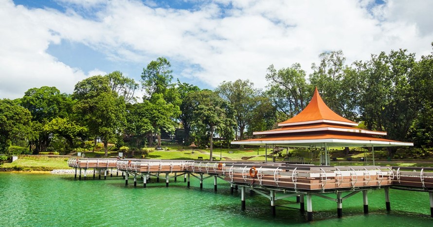 Nature and Adventures in SIngapore